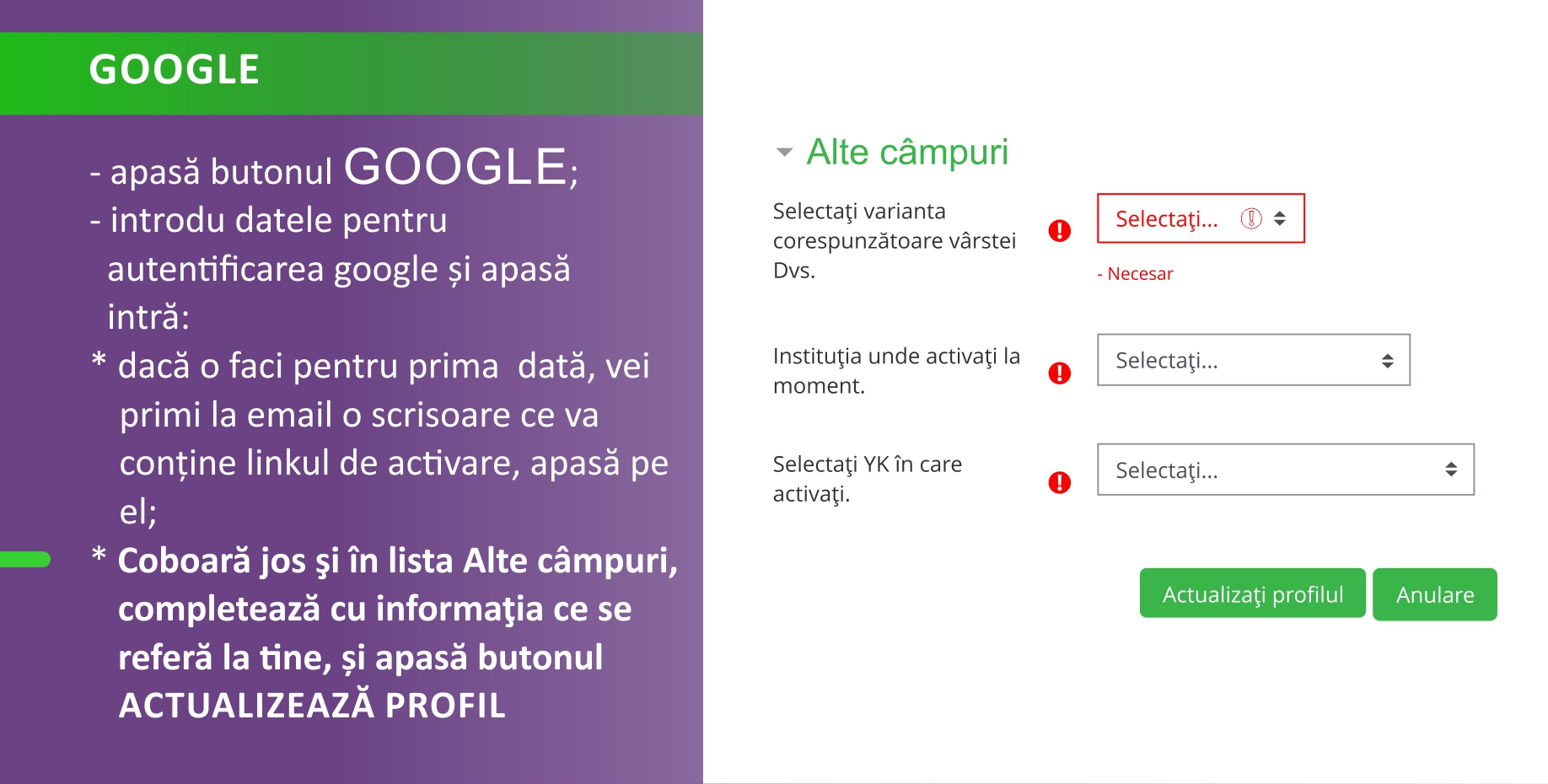 * Coboară jos şi în lista Alte câmpuri, completează cu informaţia ce se referă la tine, și apasă butonul ACTUALIZEAZĂ PROFIL 